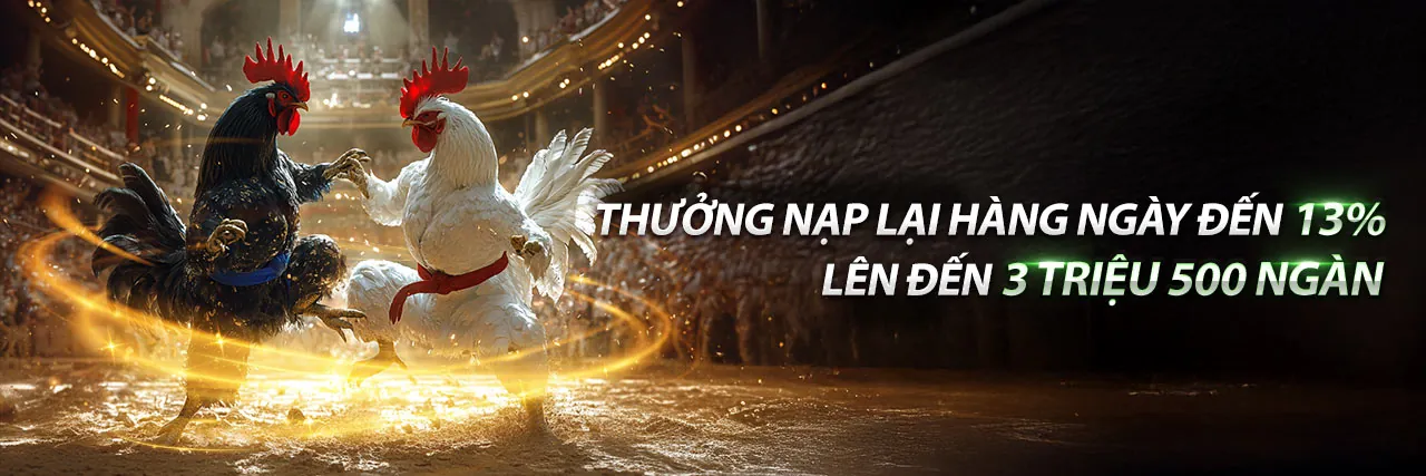 Đấu gà trực tuyến kịch tính tại Sumwin Nhà Cái